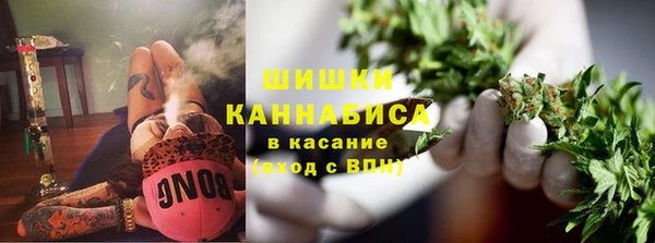 дмт Рославль